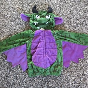 Gymboree Green and Purple Dragon Costume